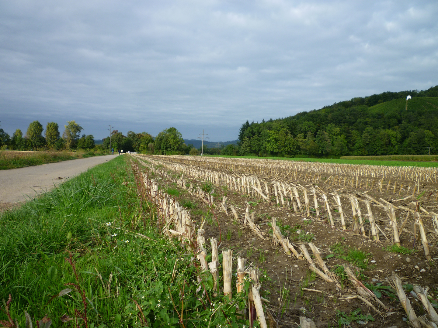 " HERBST "