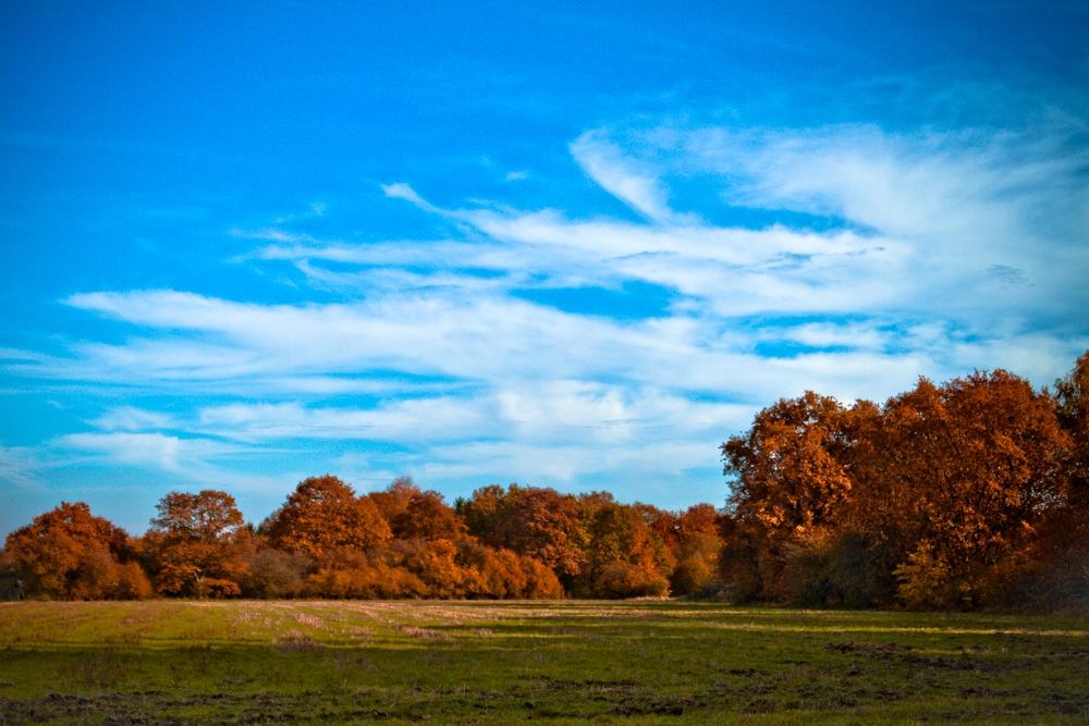 Herbst