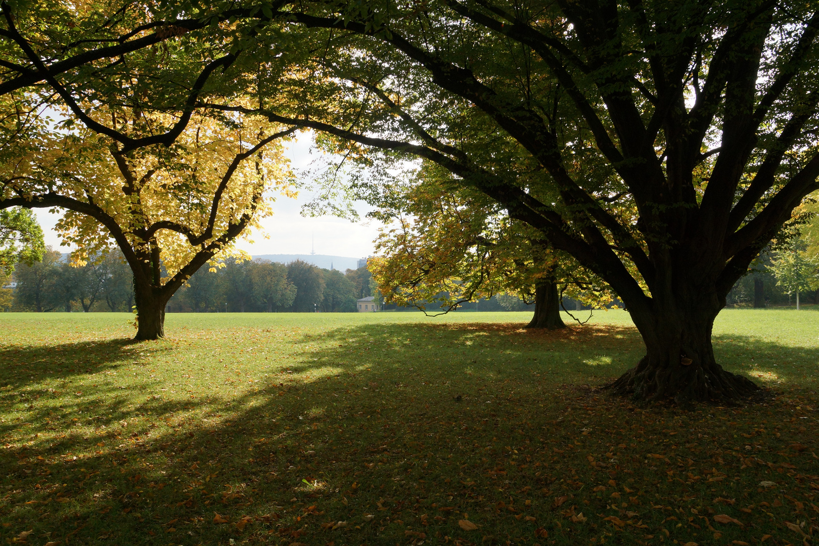 Herbst