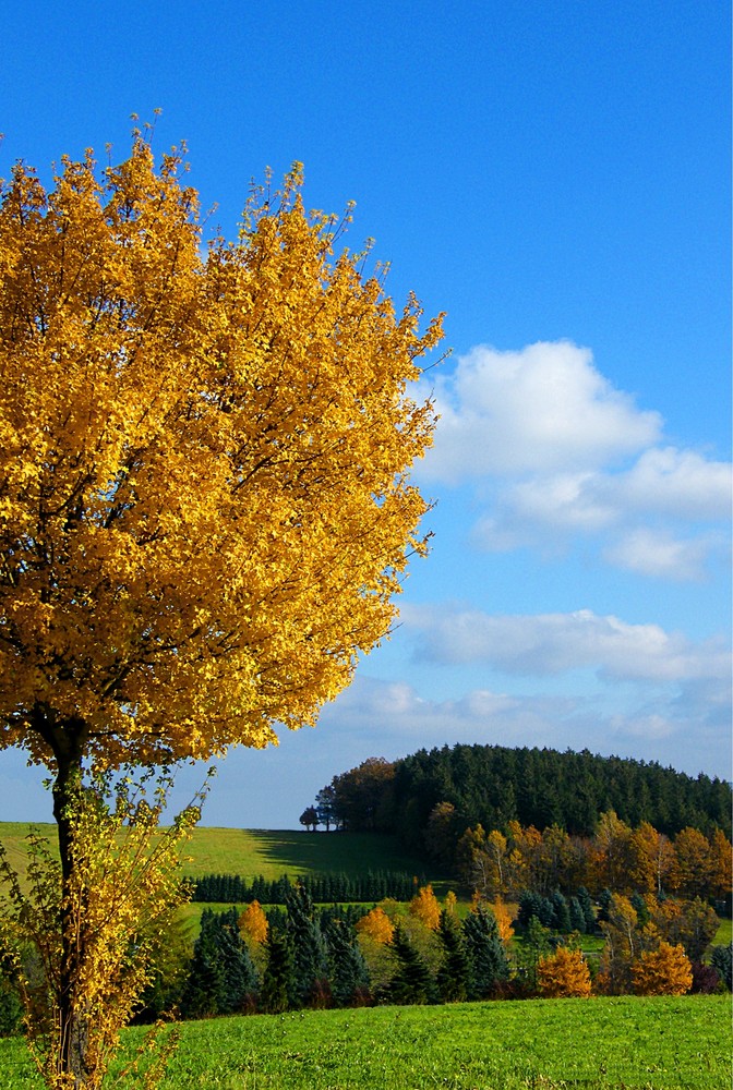 Herbst