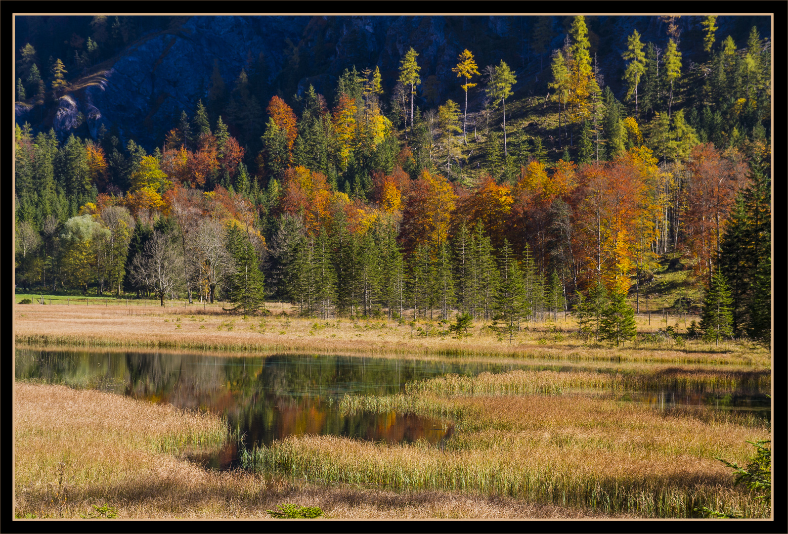 Herbst