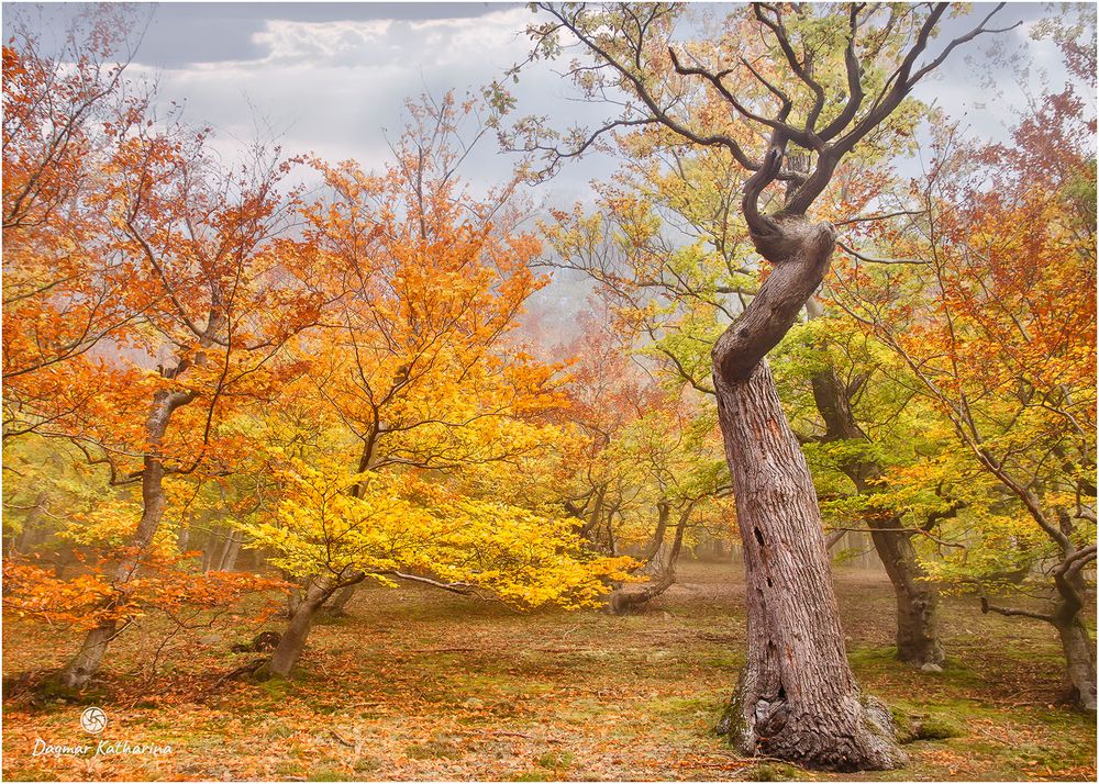 Herbst