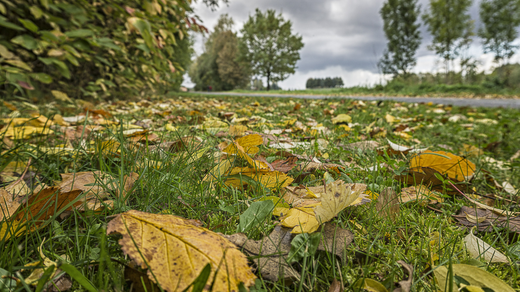 Herbst