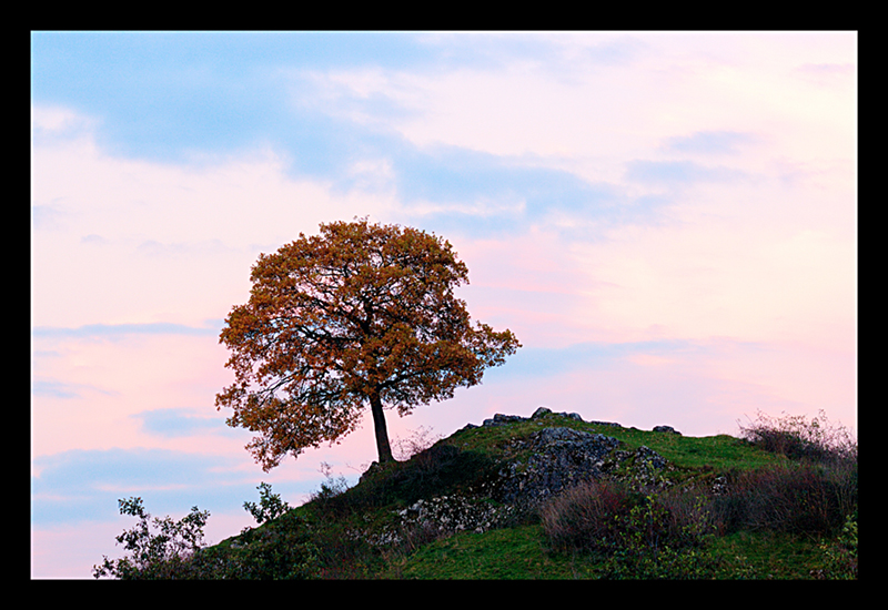 Herbst