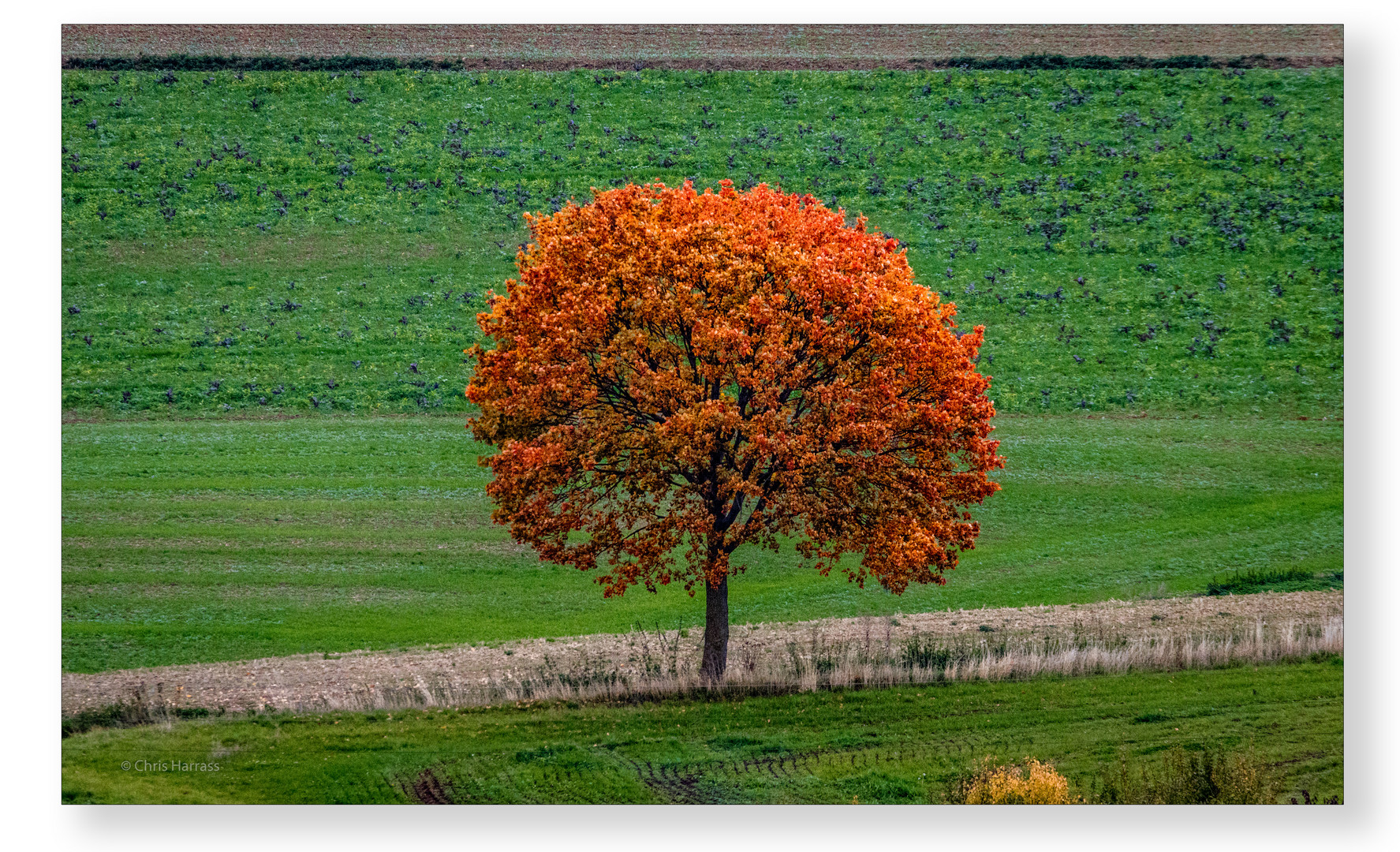 Herbst...