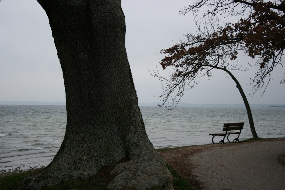 herbst by Gerald Moser