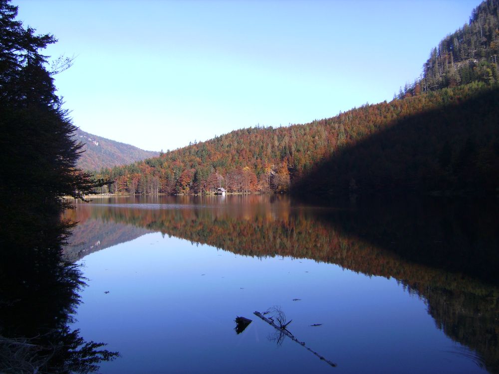 Herbst von Elisabeth Pilz 