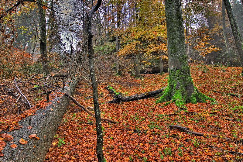 Herbst ...