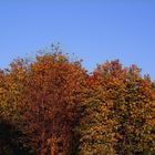 Herbst