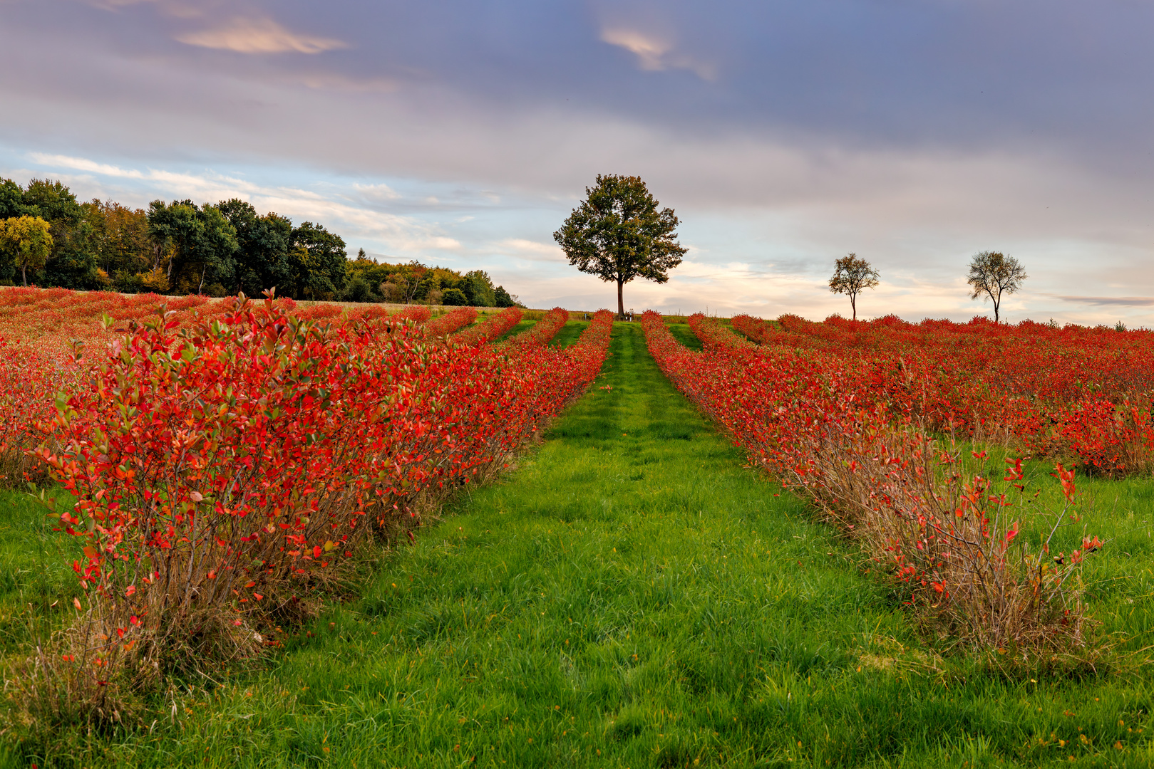 Herbst ...