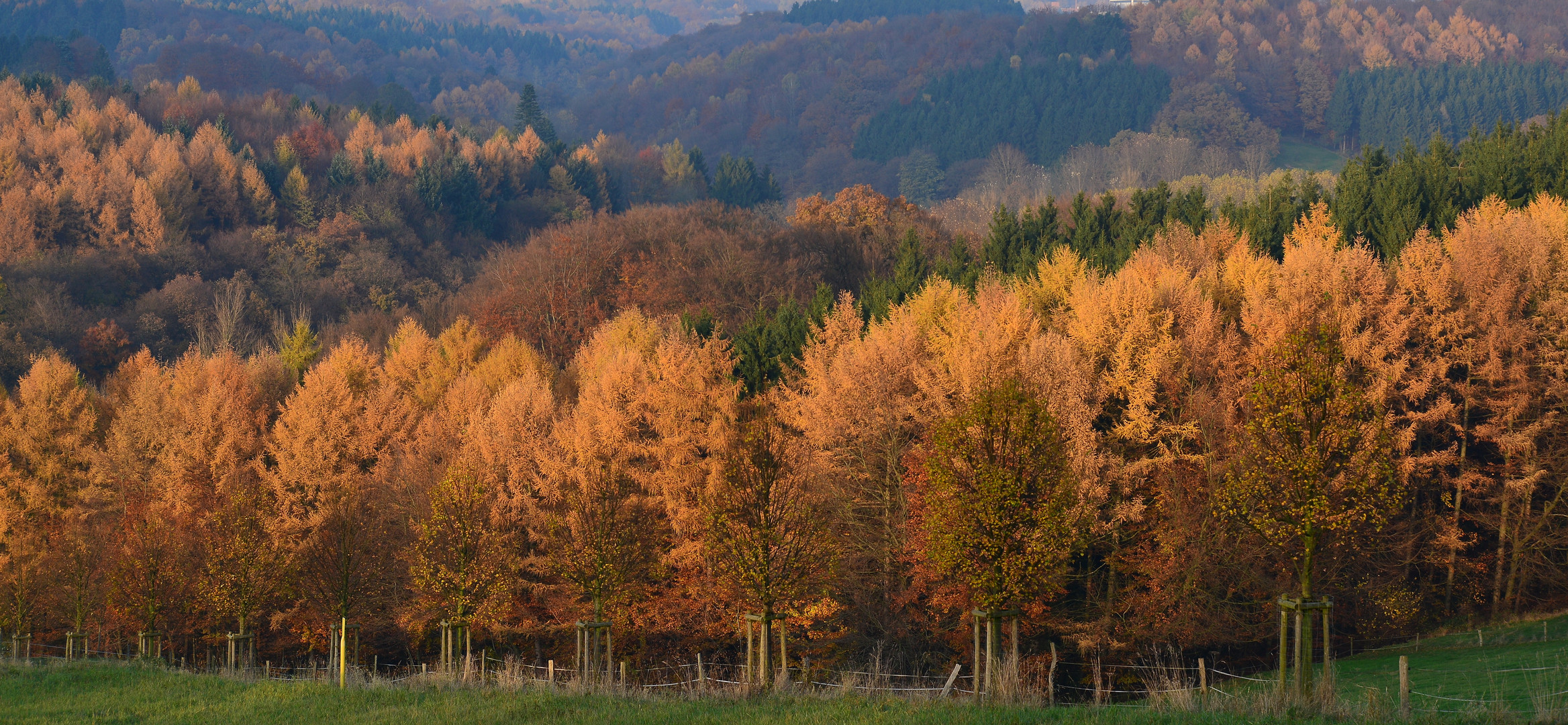 HERBST