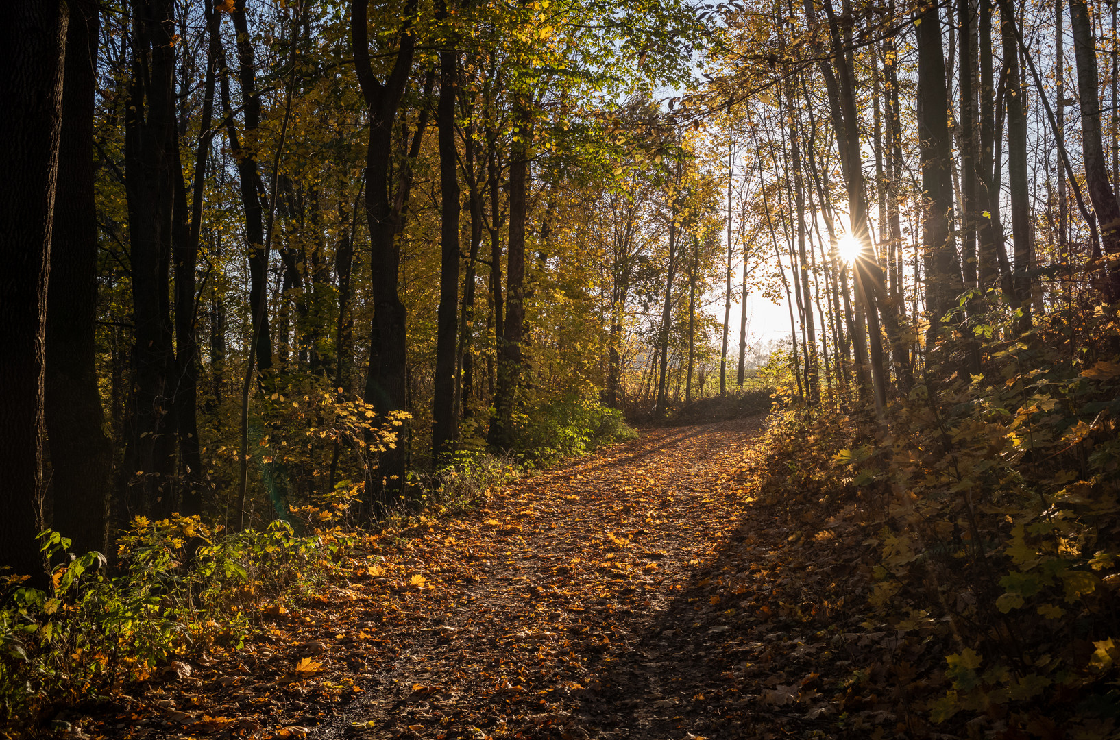 Herbst