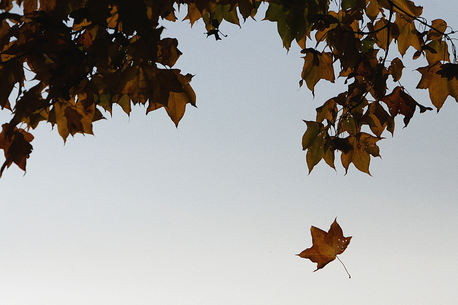 *herbst*