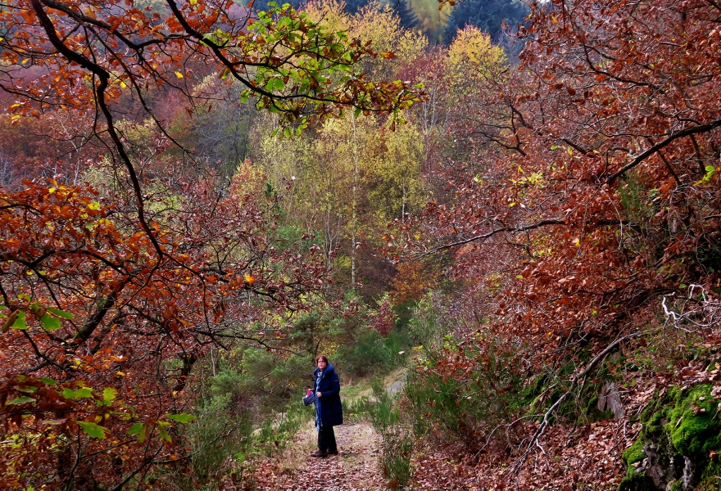 Herbst