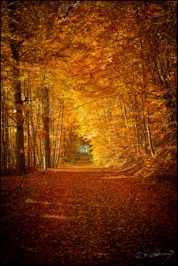 Herbst -