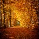 Herbst -