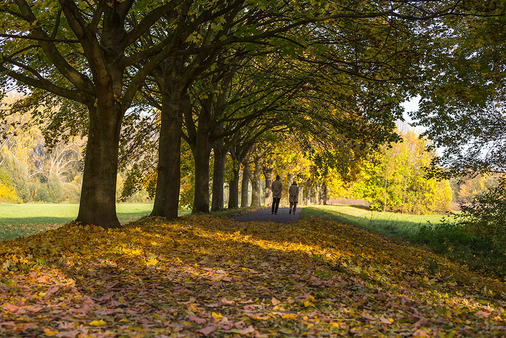 Herbst