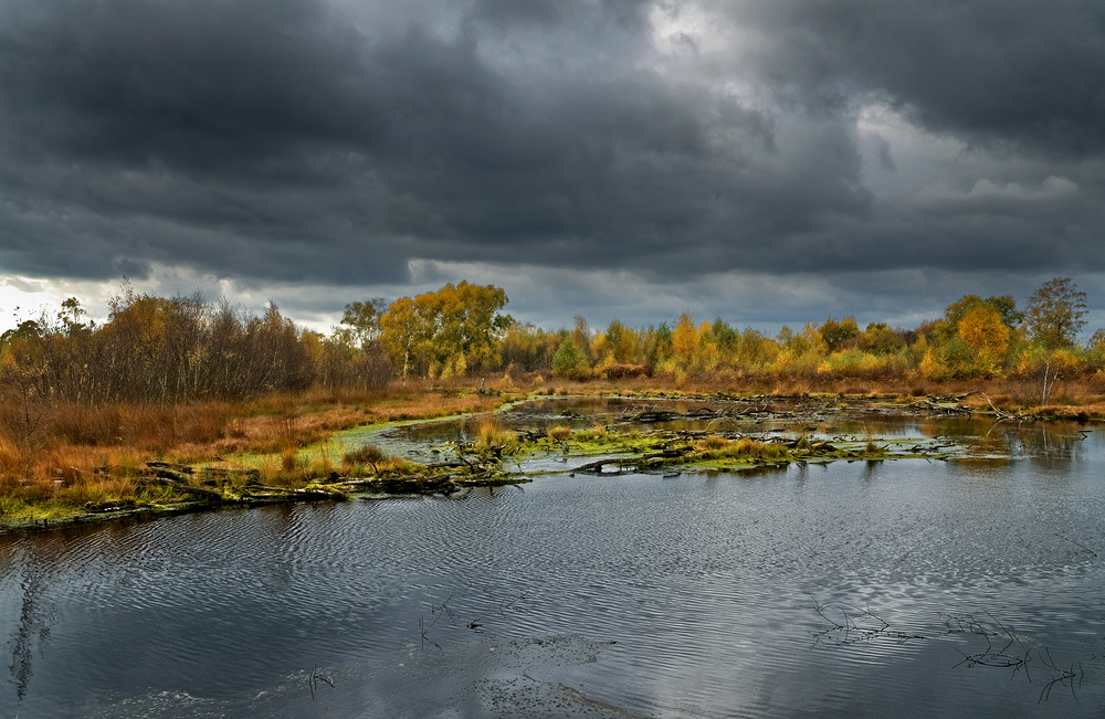 Herbst