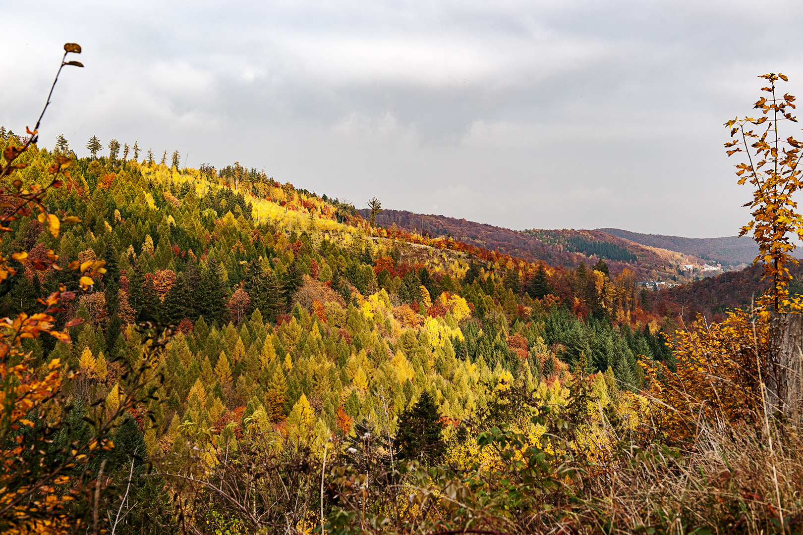 Herbst!