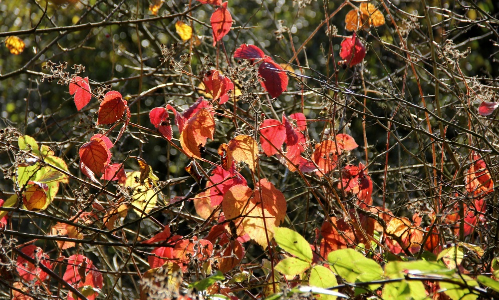 herbst....