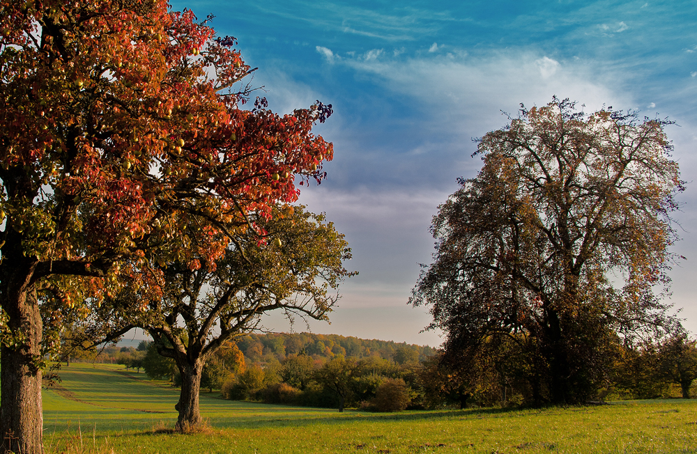 ~~ herbst ~~