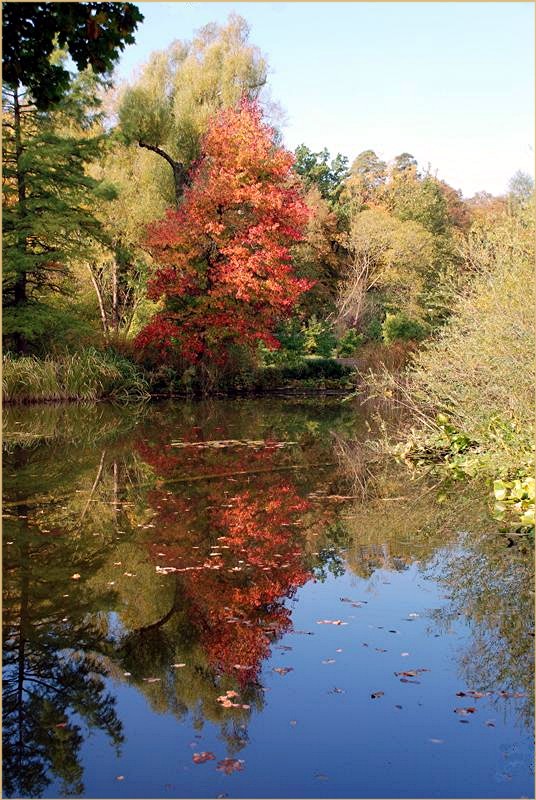 Herbst..........