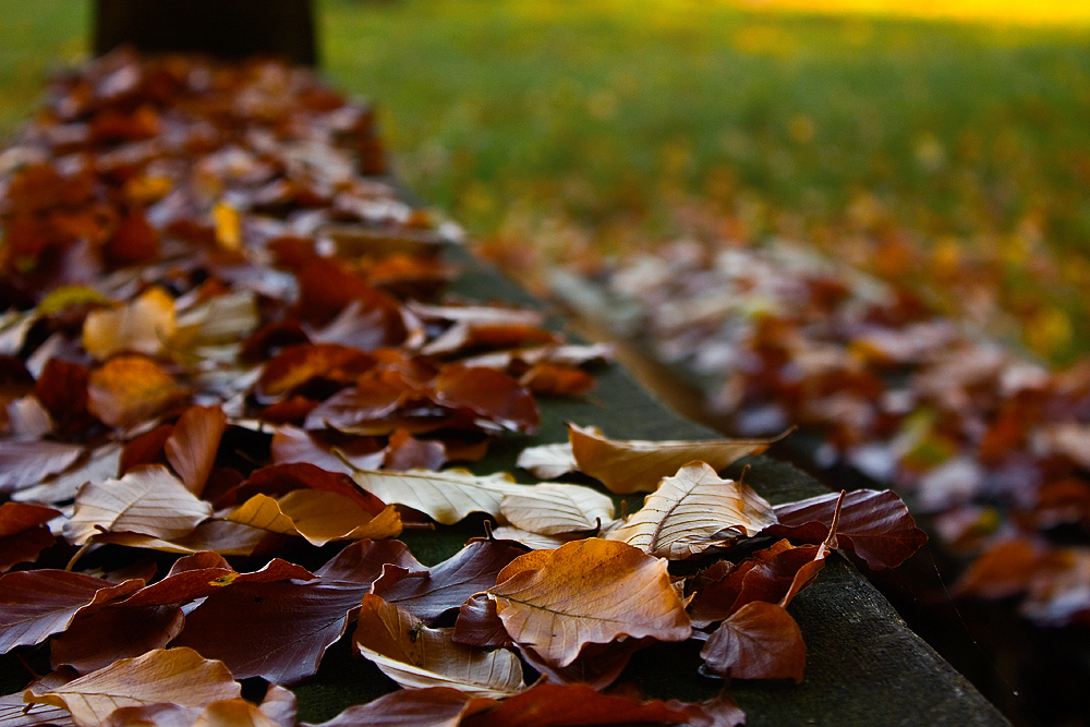 Herbst