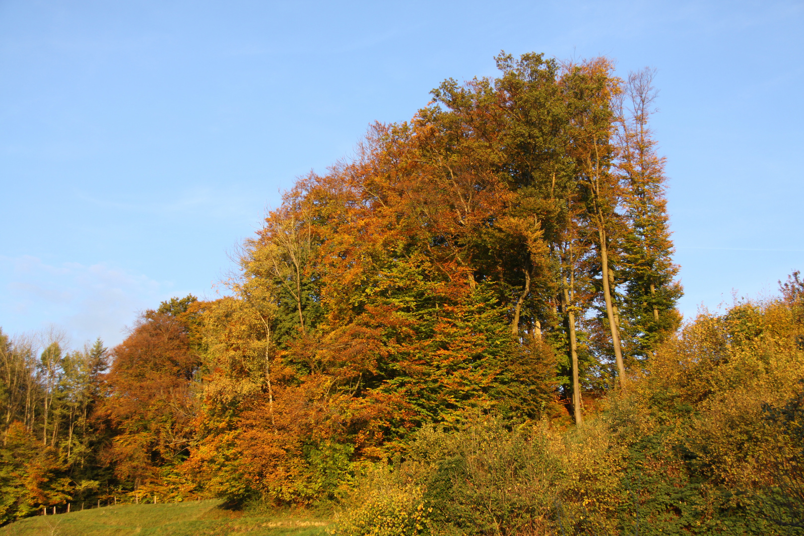 Herbst