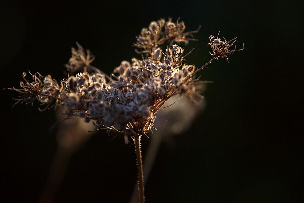 Herbst...