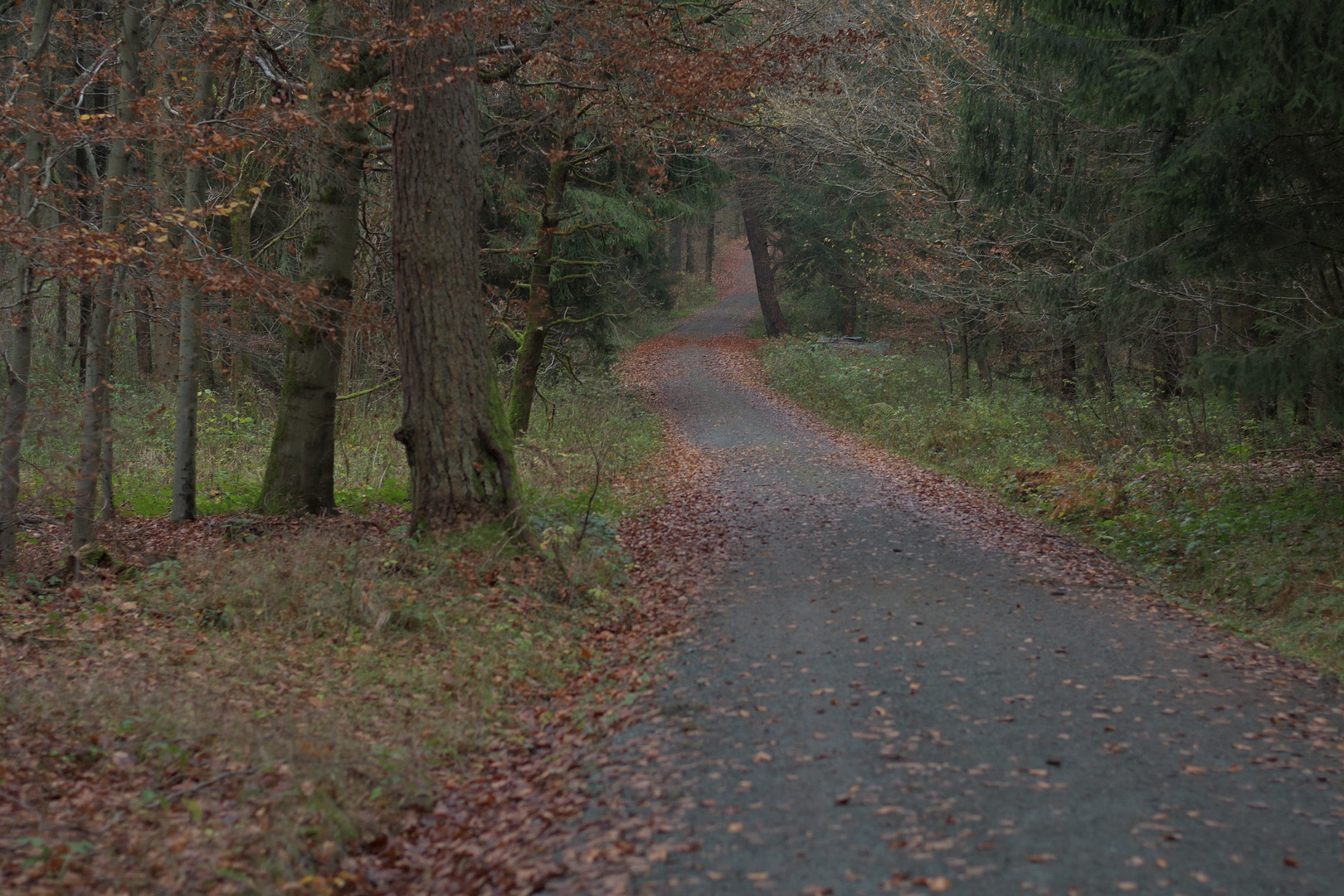 Herbst