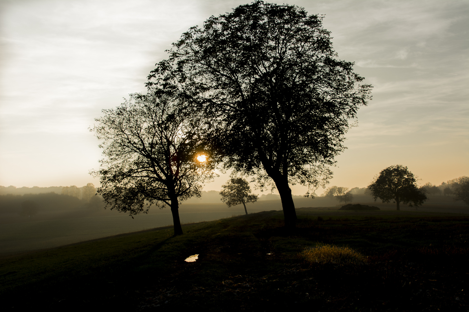 Herbst