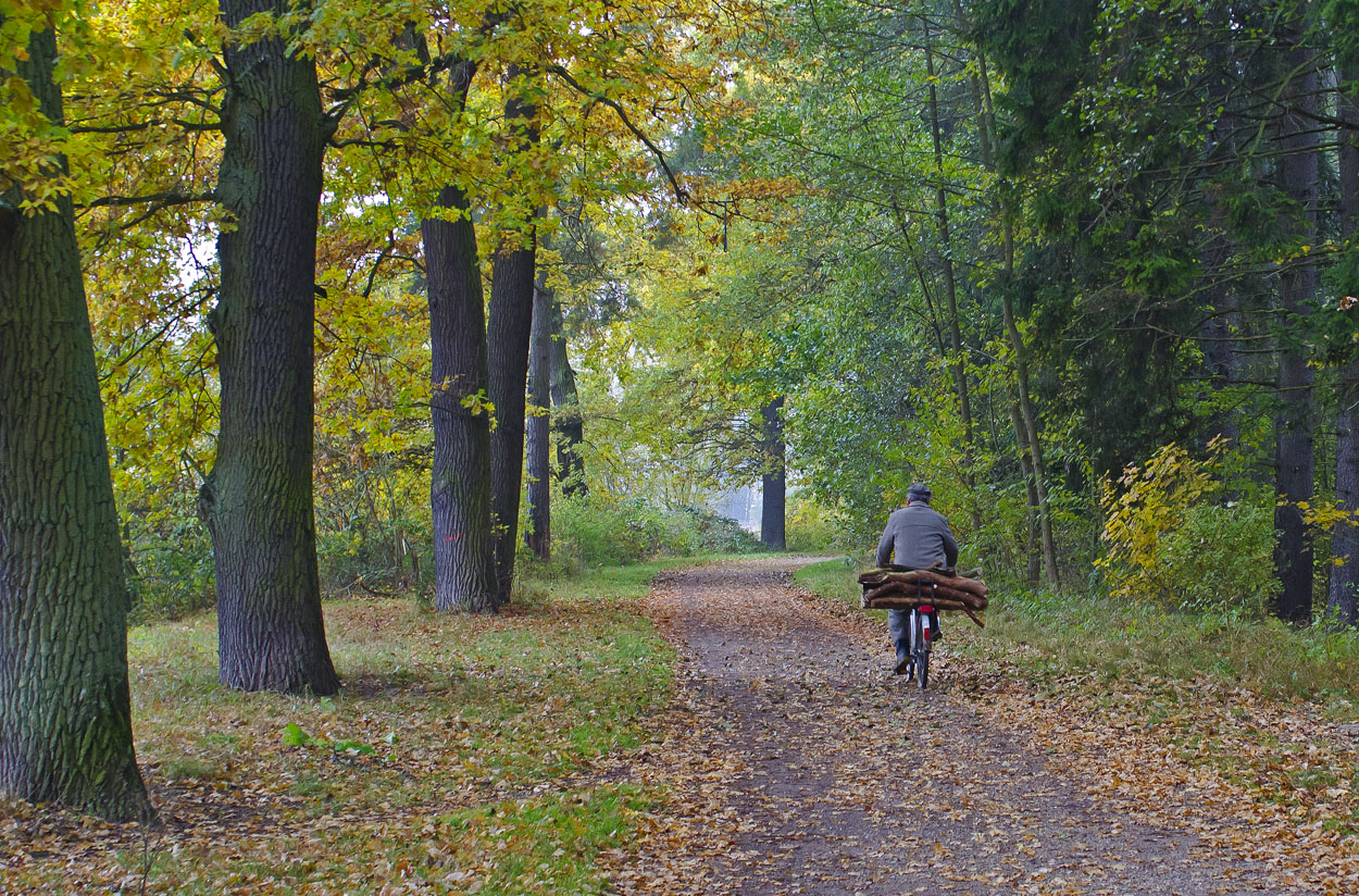 Herbst