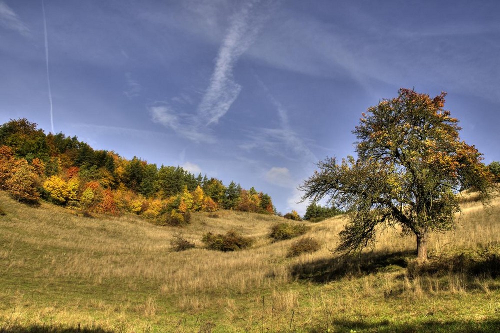 Herbst