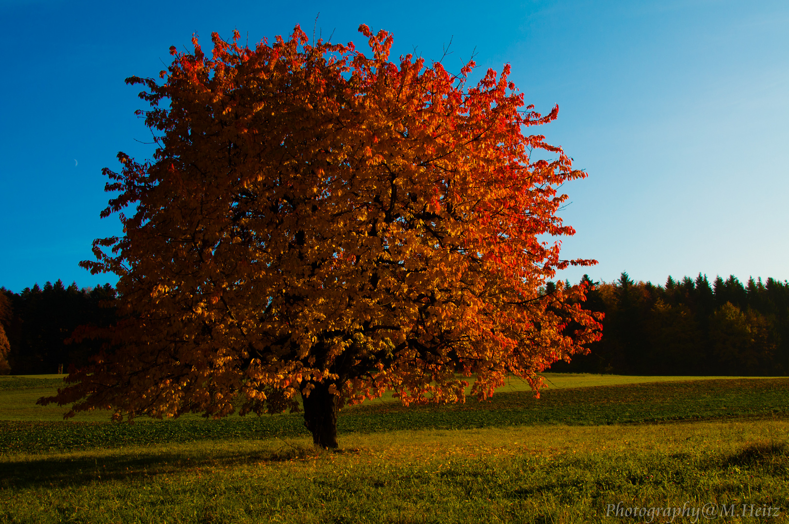 Herbst