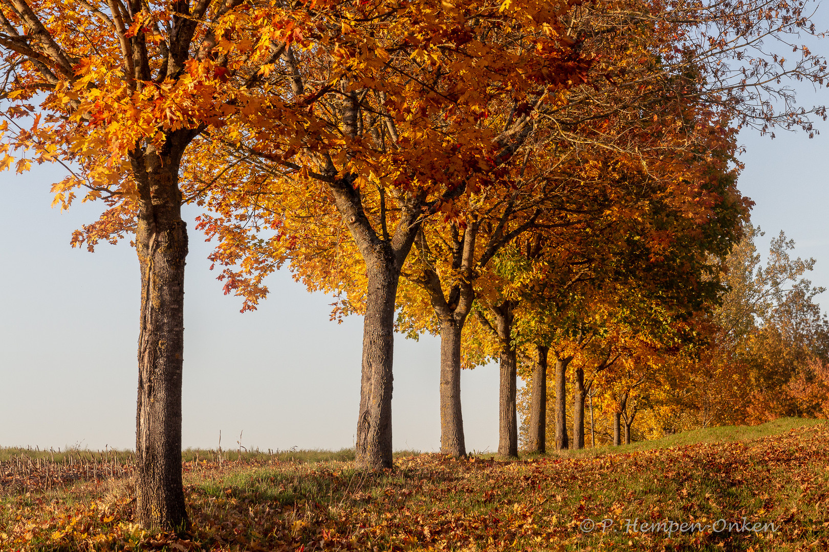 Herbst