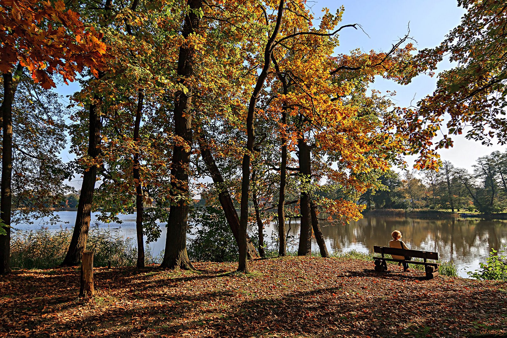 - Herbst -