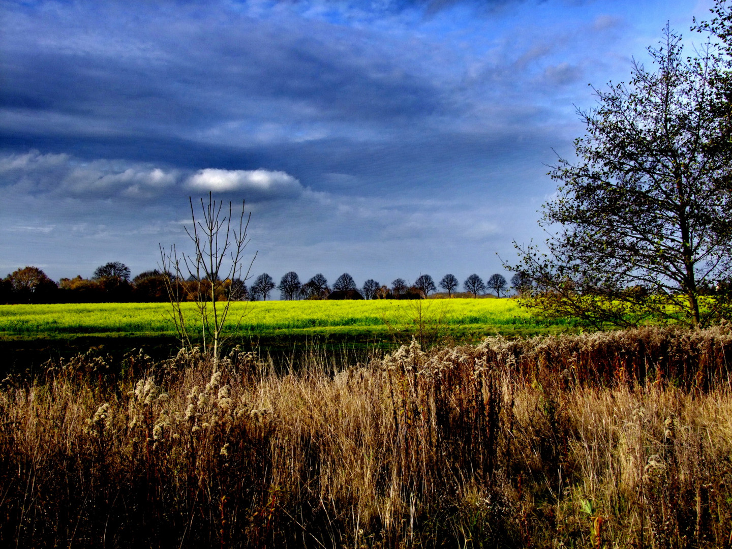 "Herbst"