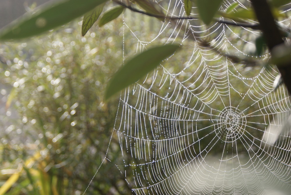 .....Herbst....