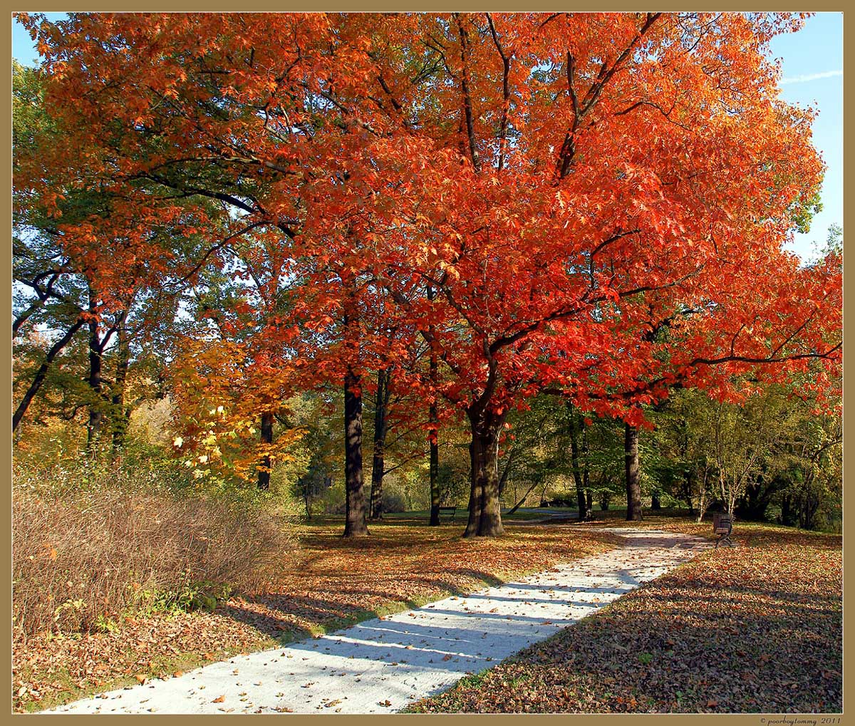 Herbst