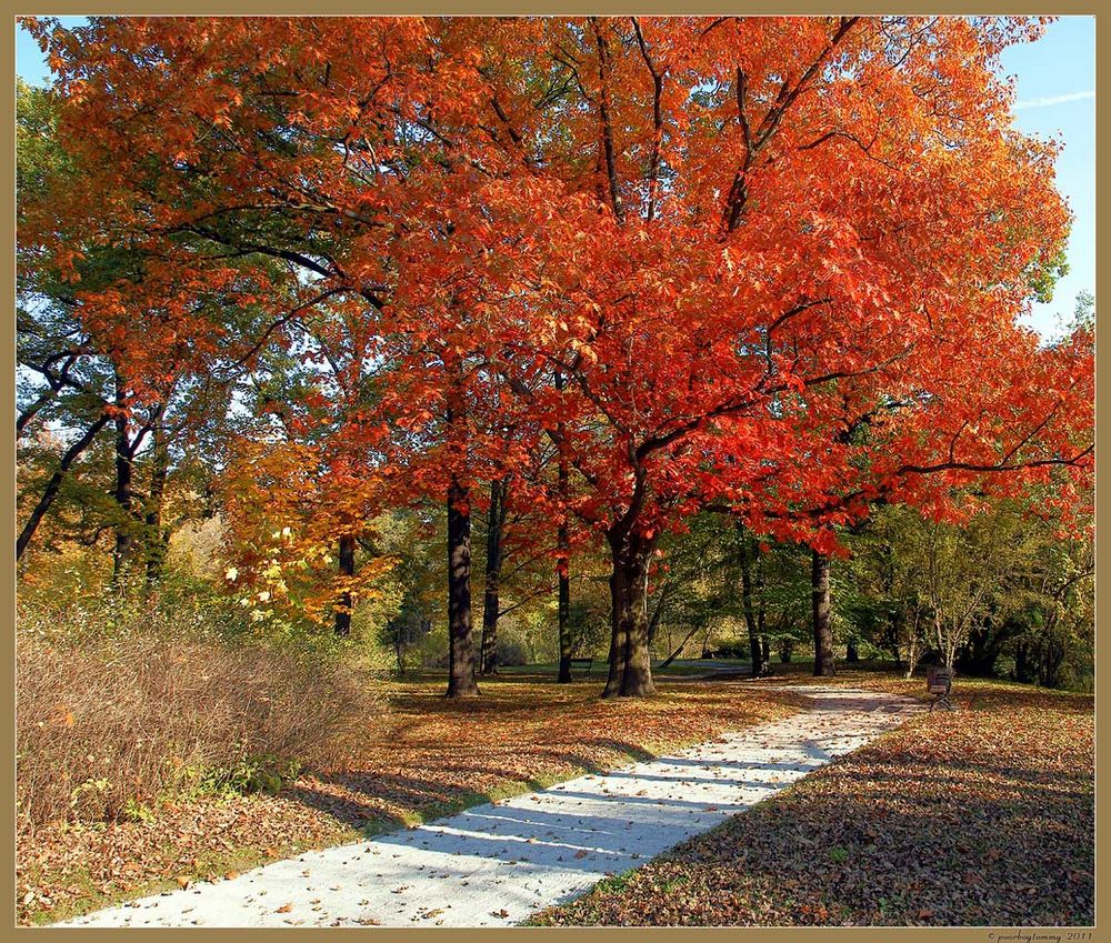 Herbst