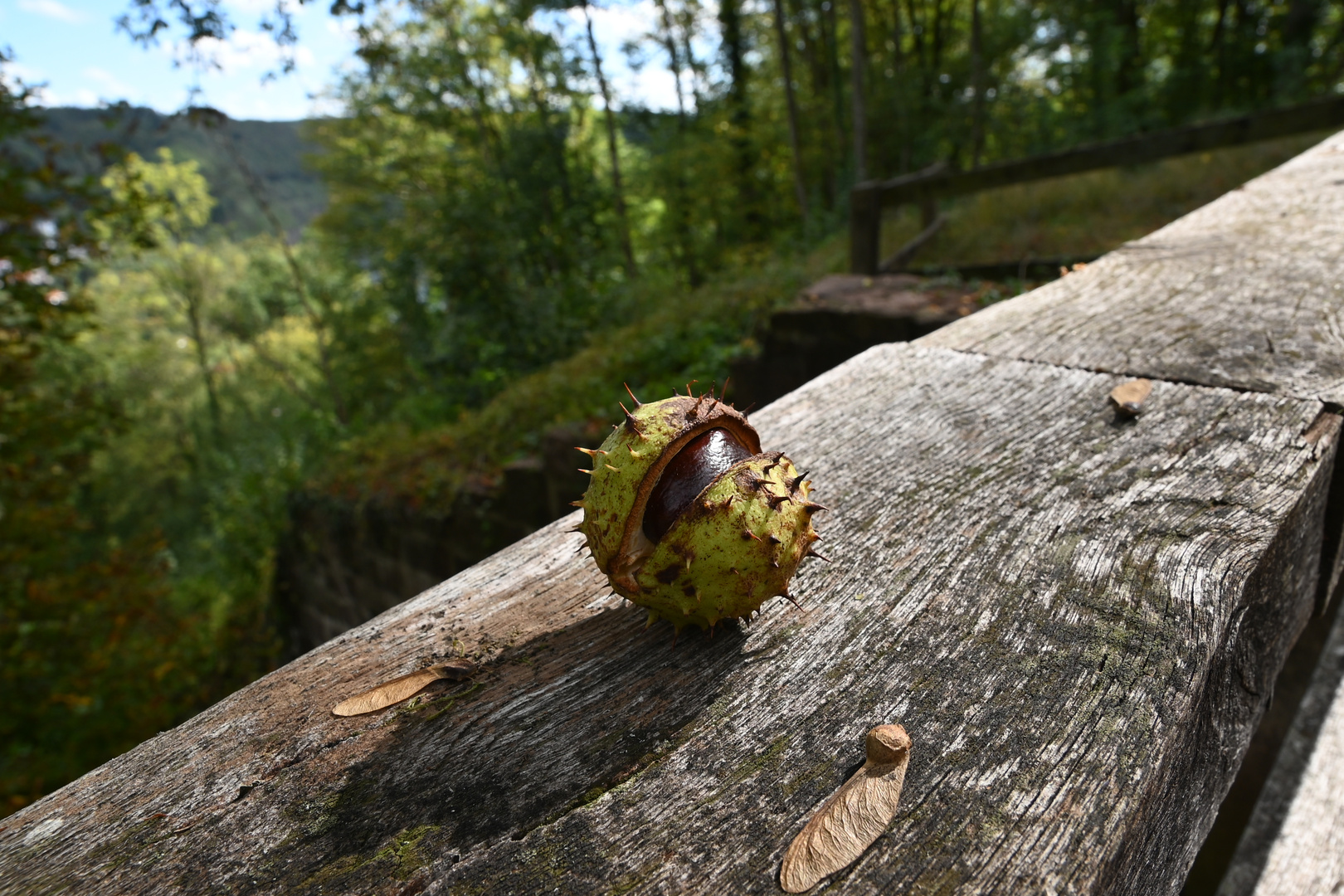 Herbst