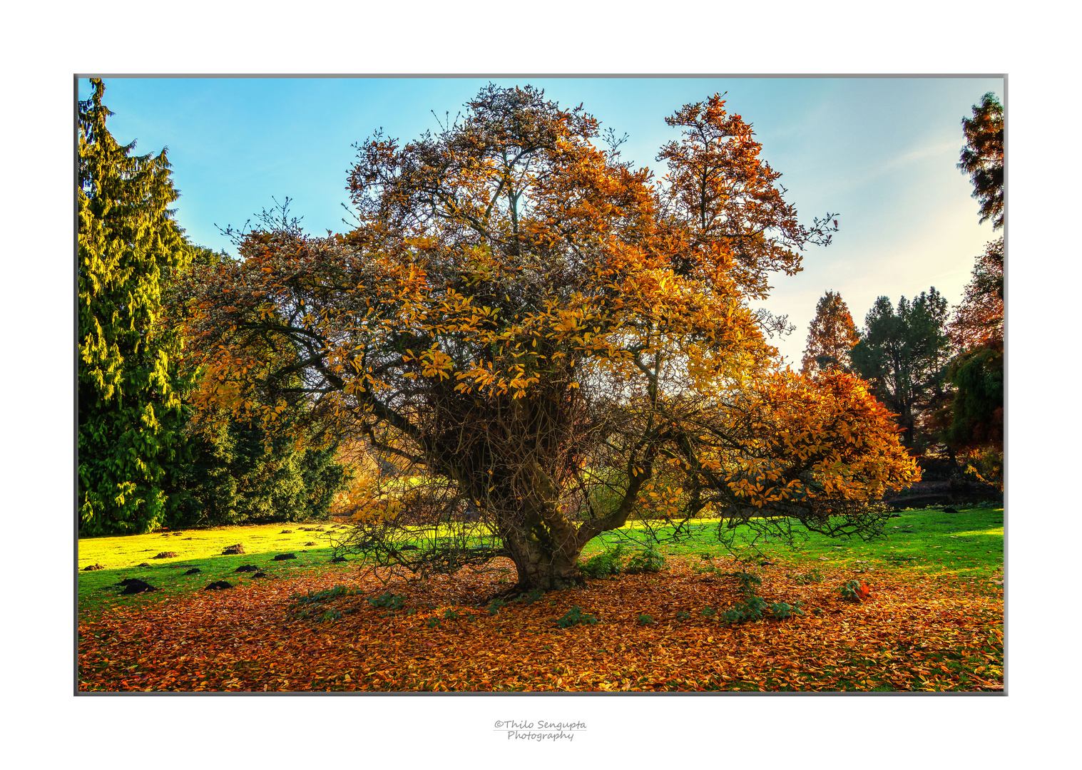 Herbst