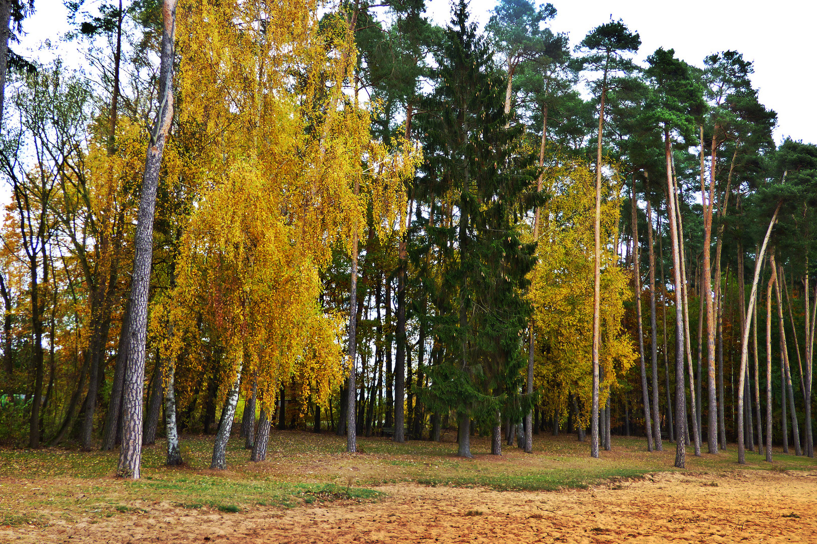 Herbst  