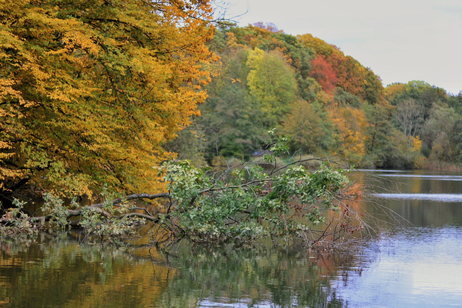 Herbst