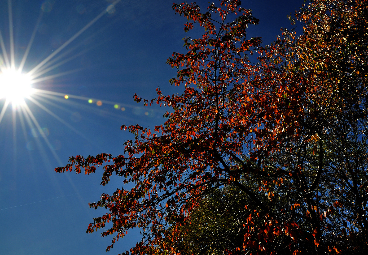 Herbst