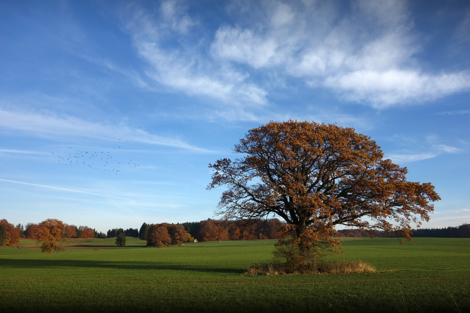 Herbst