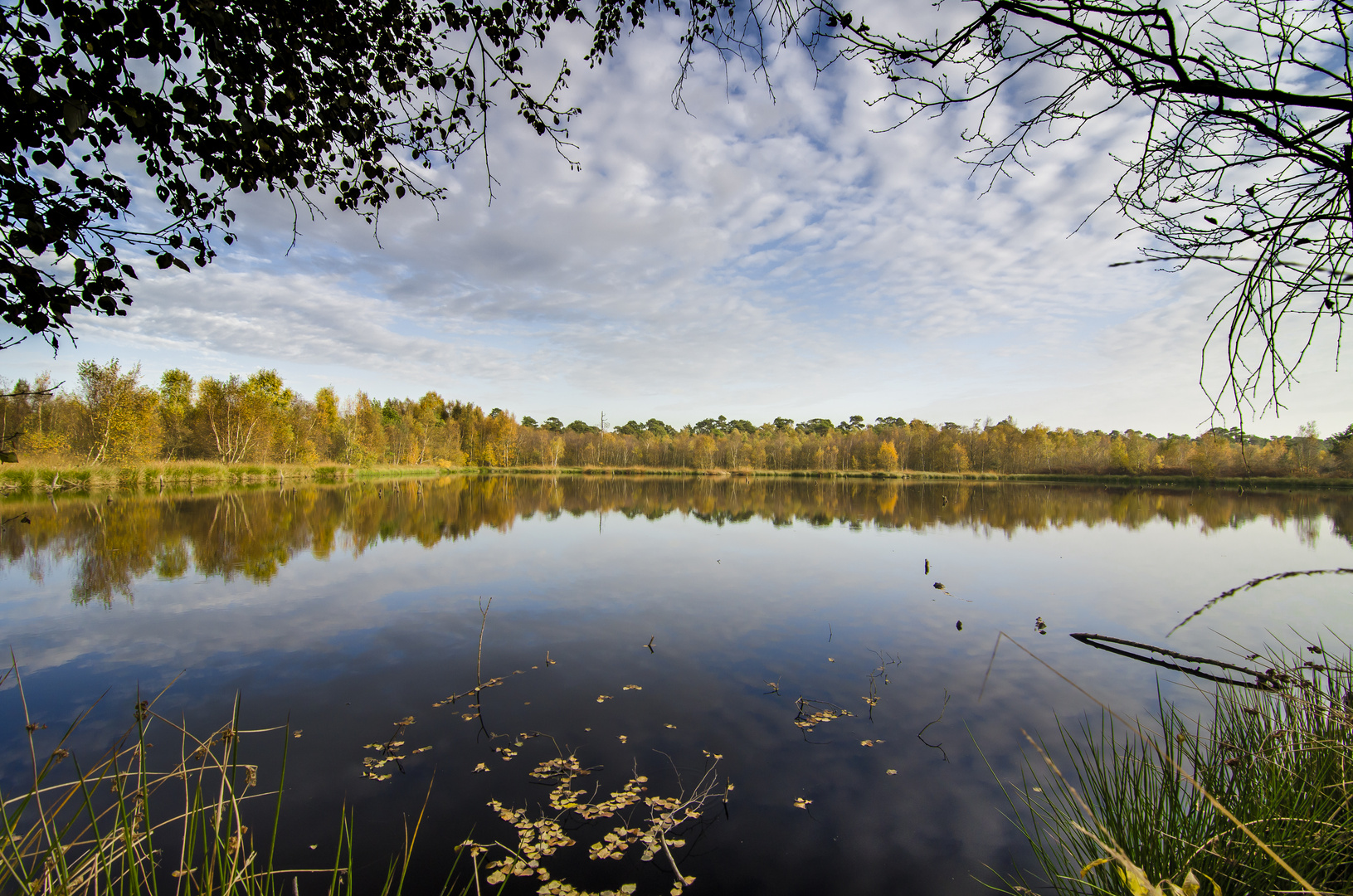 Herbst