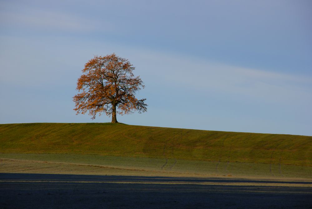 Herbst