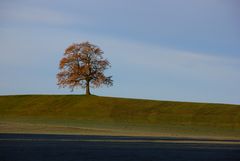 Herbst