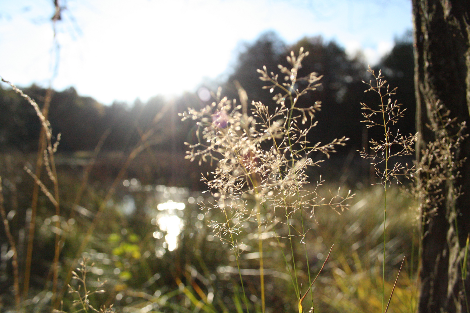 Herbst.